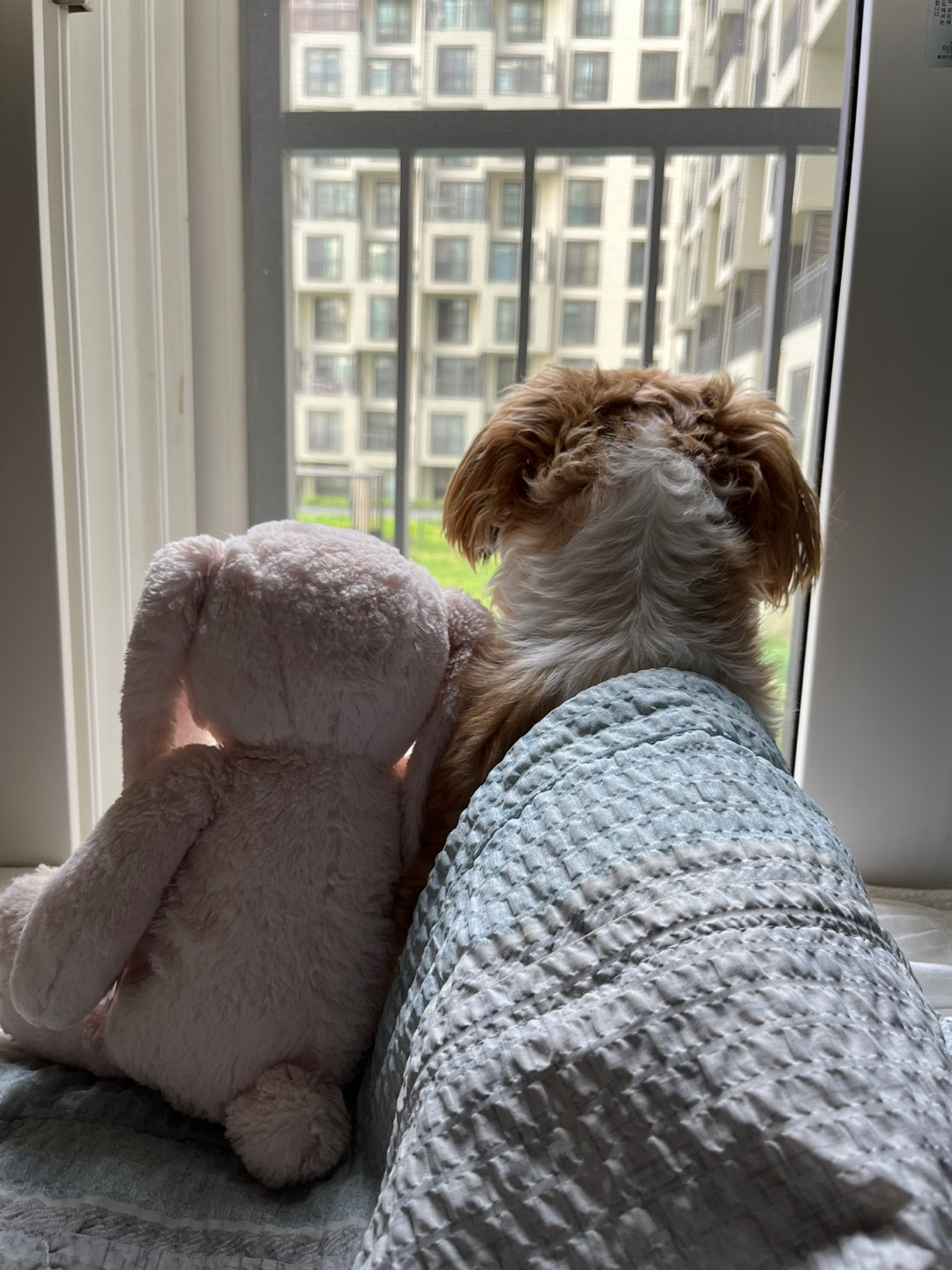mikong profile