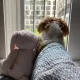 mikong profile