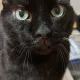 Sheila profile