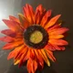 PM profile