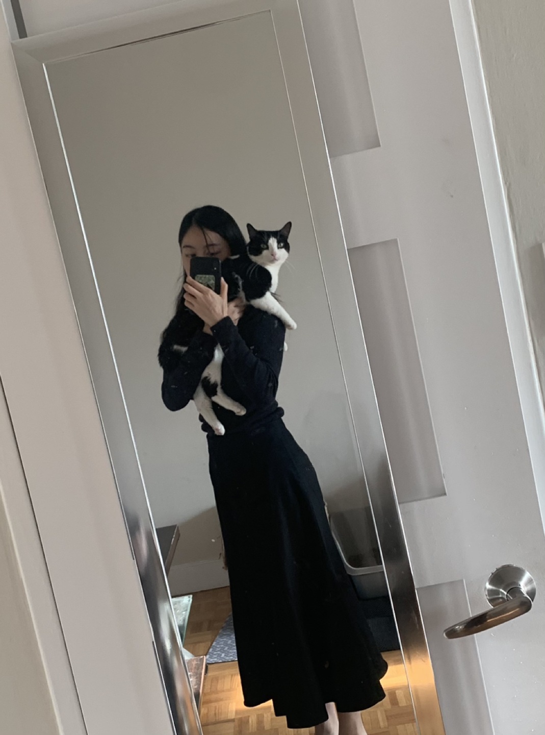 Cat profile