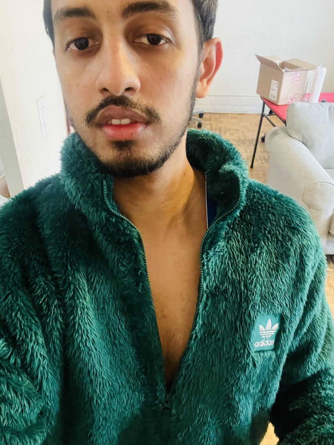 Mohamed shinas profile