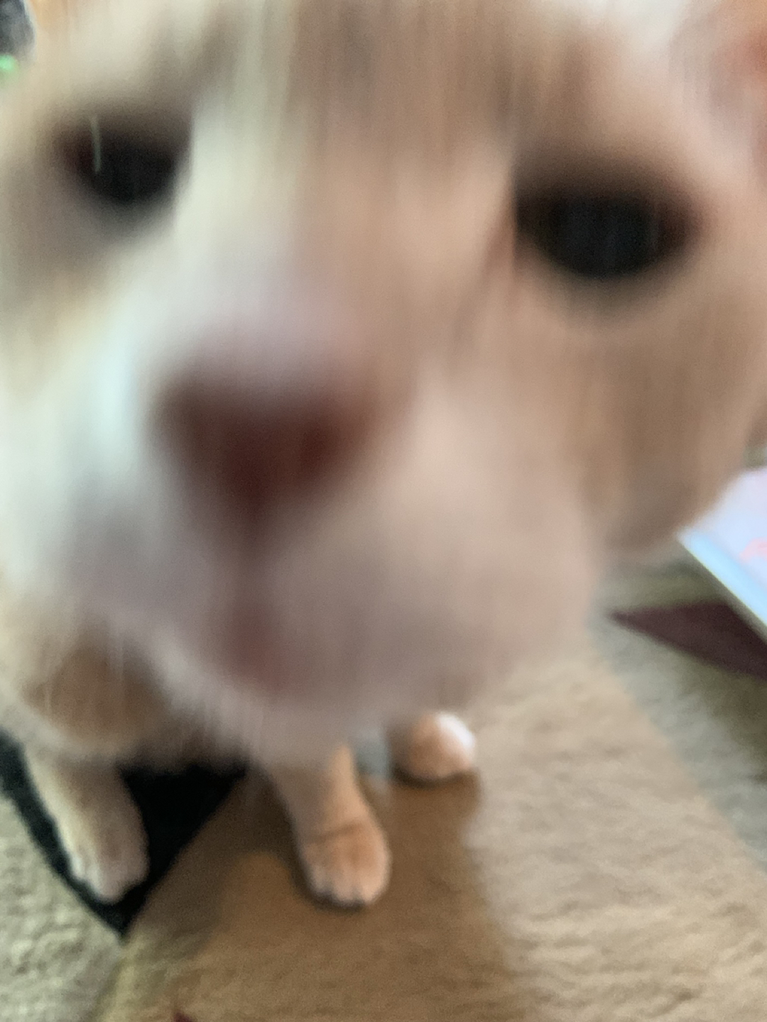 Erik profile