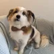 kash profile