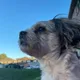 Jenny profile