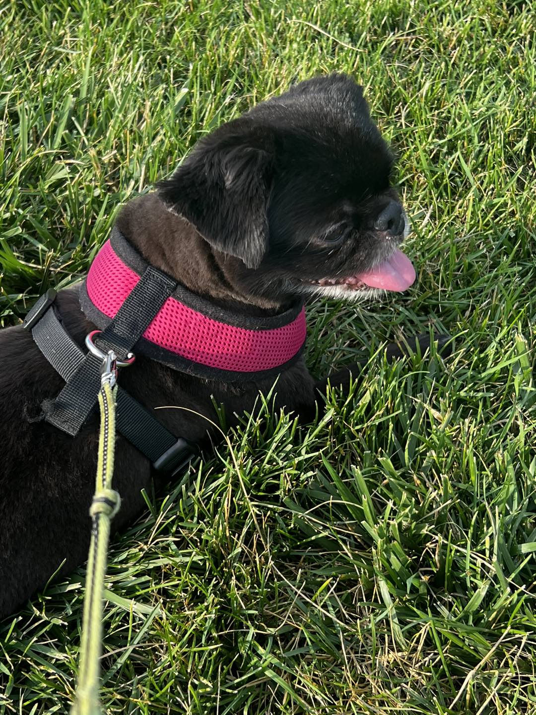Jenny profile