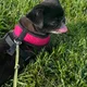Jenny profile