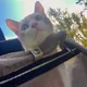 Kal profile