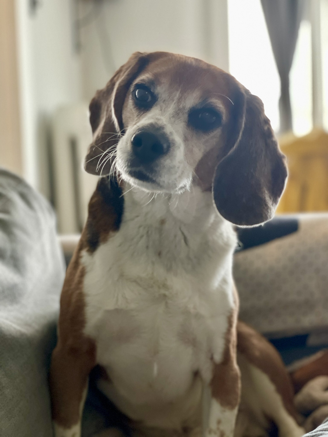 S Mason profile