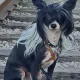 Roxan profile