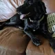 Kitkat profile