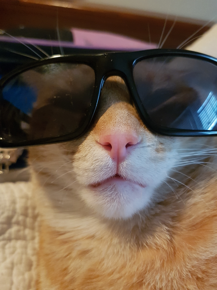 Quintin Glasgow profile