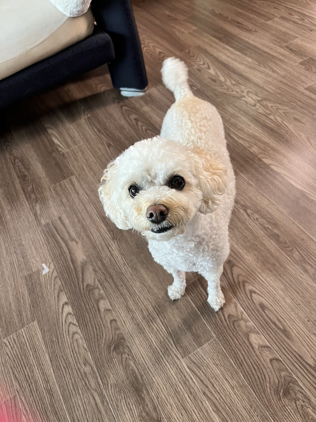 Honey profile
