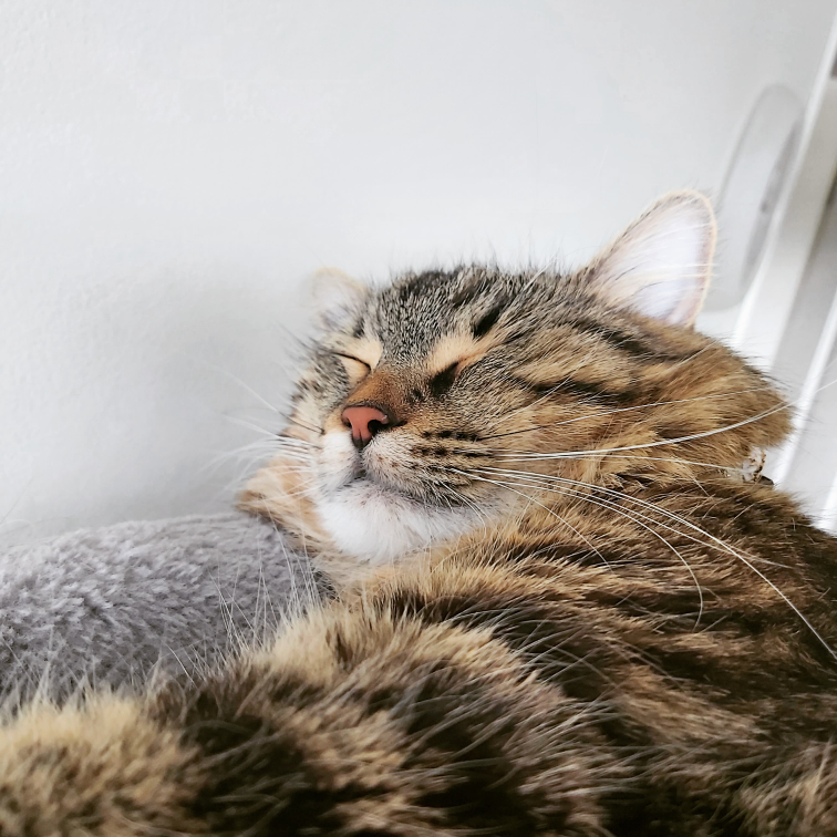 Mika Libiano profile