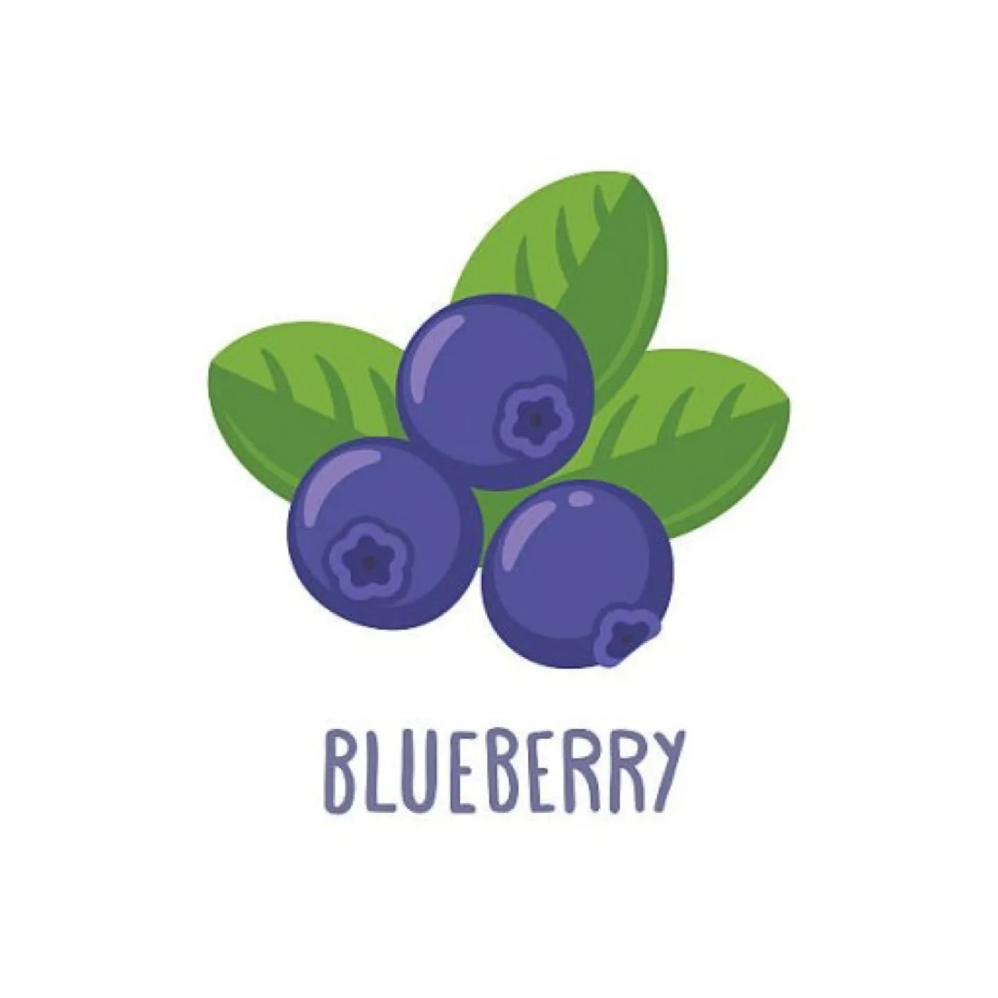 Blueberry profile
