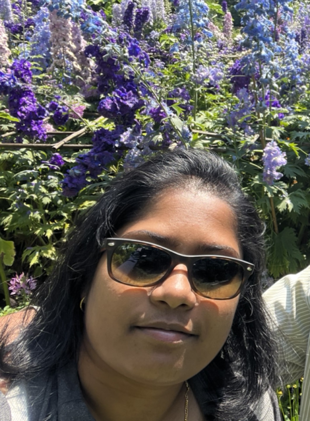 Riddhi profile