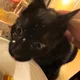 puffs profile