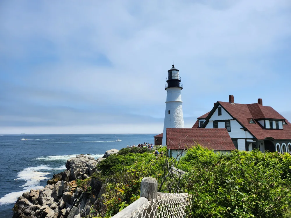 Spicy Kimchi Boy profile