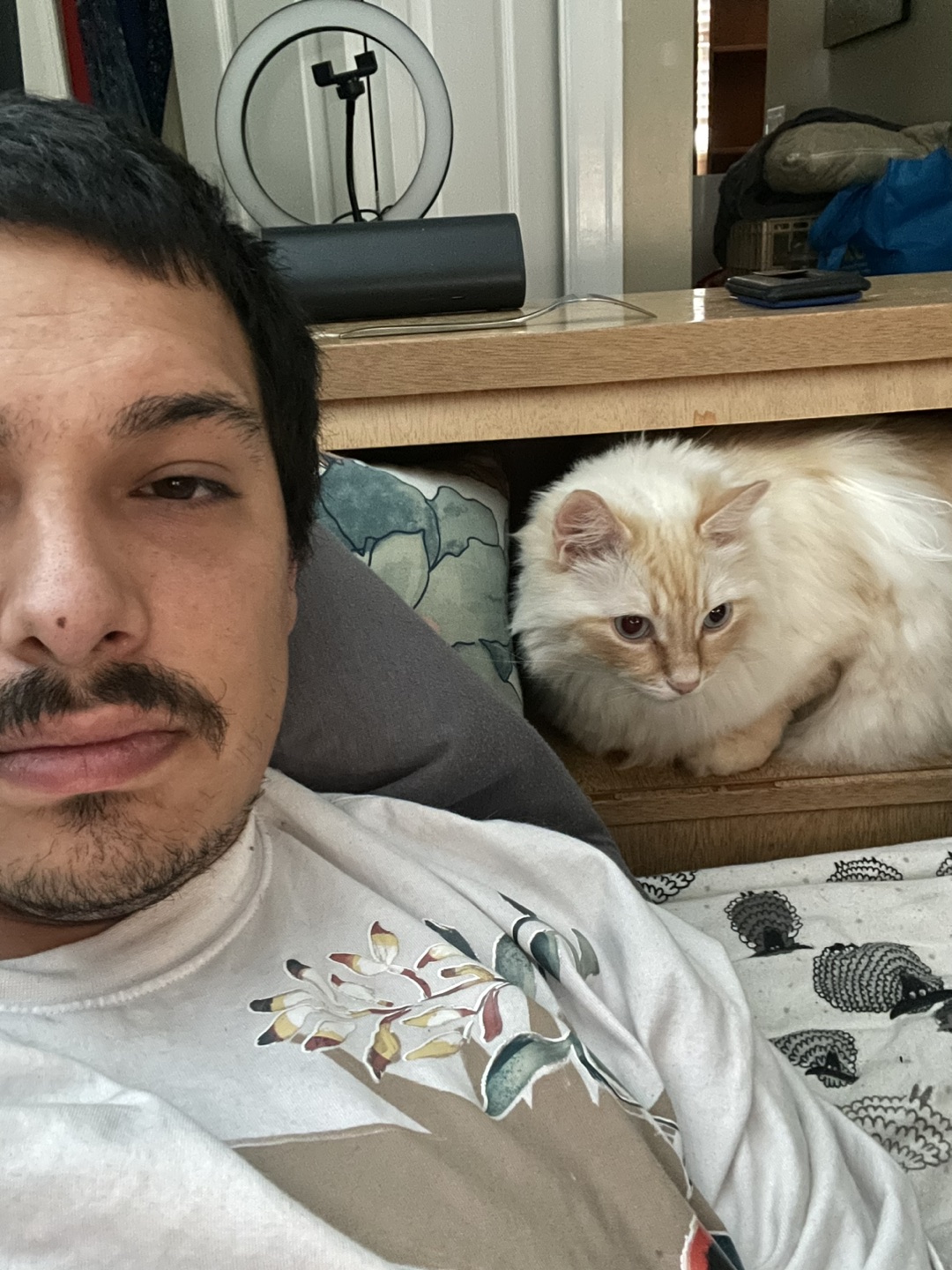 Brandon profile
