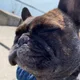 SandeeZ profile