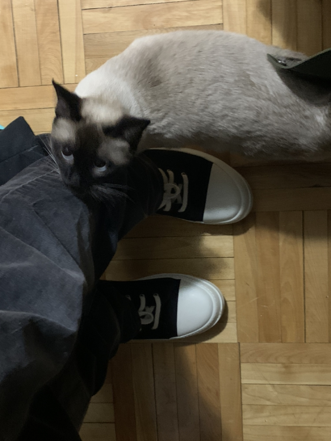 Sevin profile