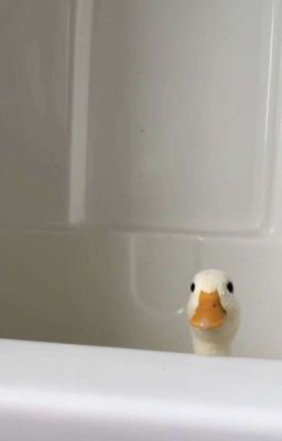 EL