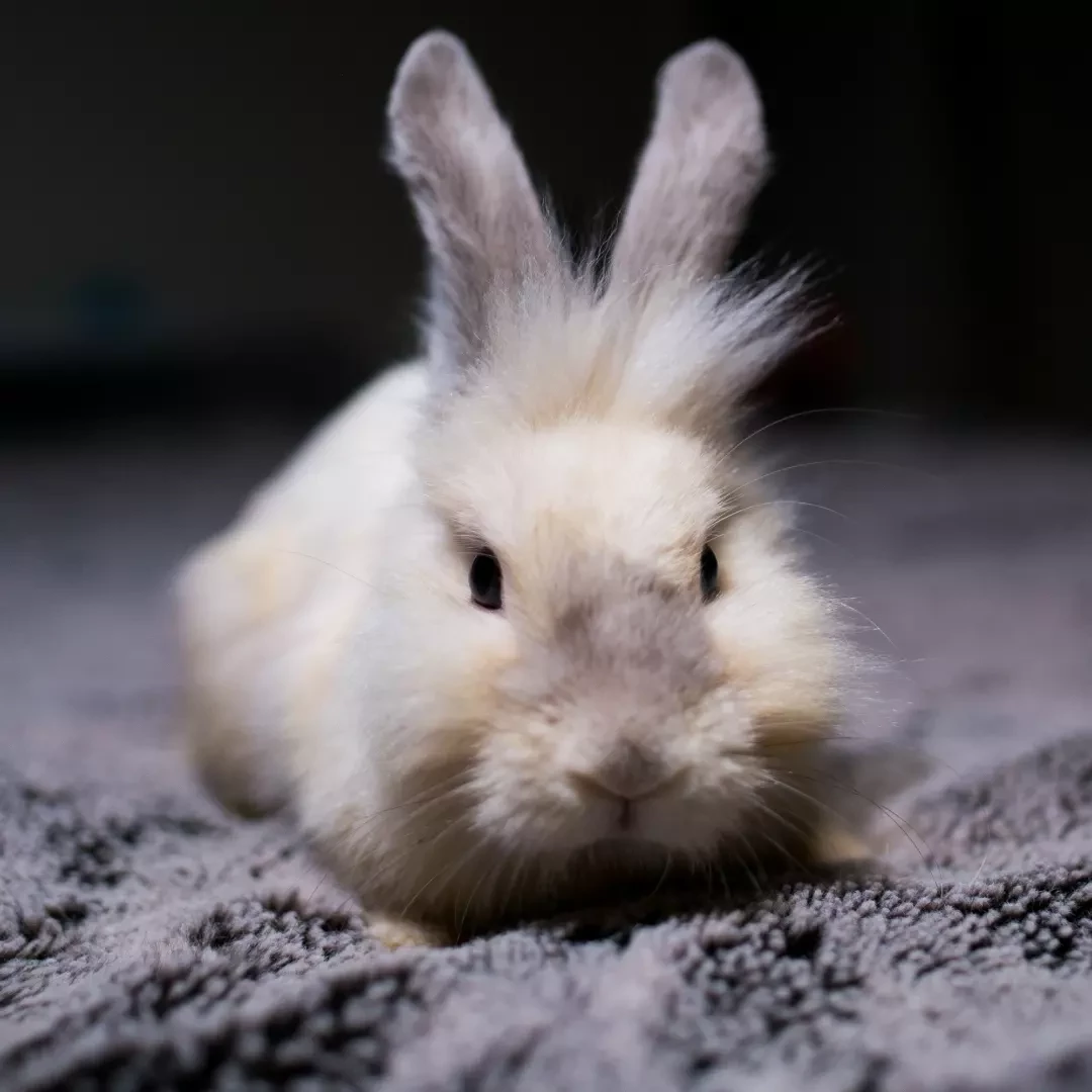 Superdadonkijiji profile