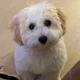 Yoo profile