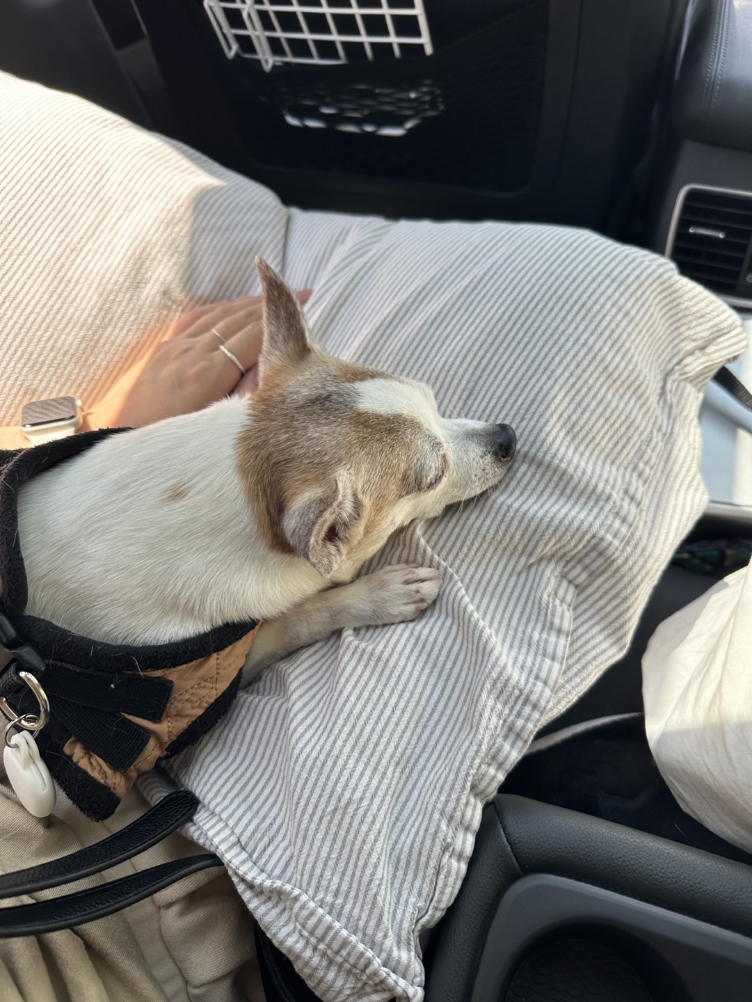 Michelle Yang profile