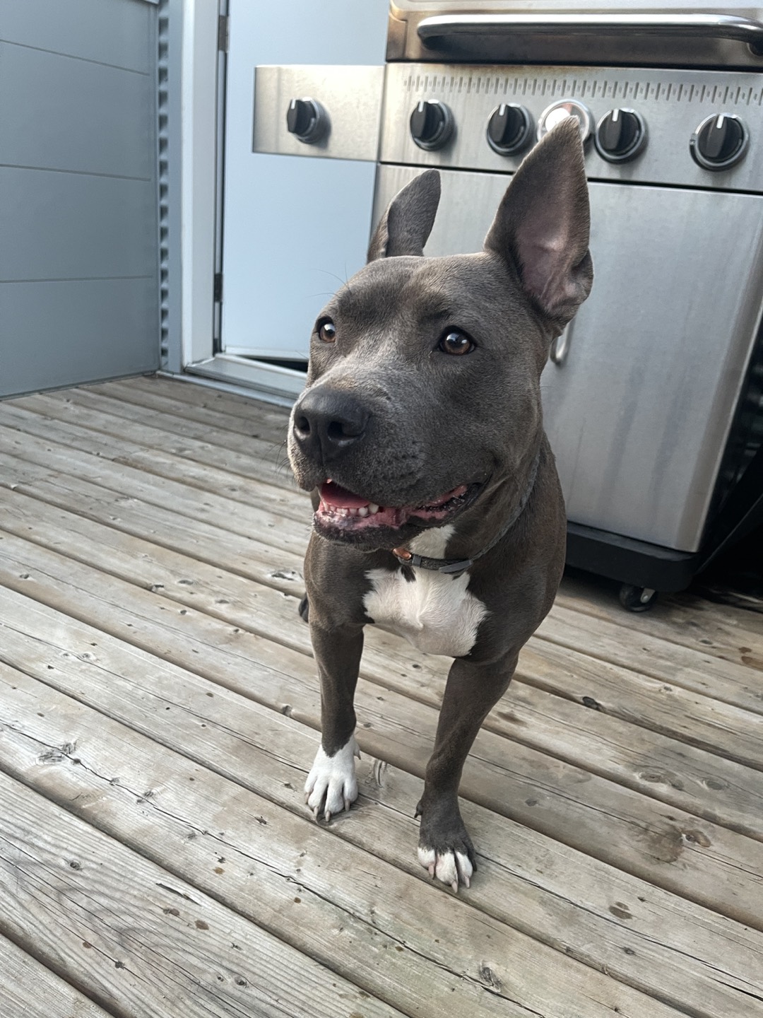 Benny
