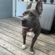 Benny profile