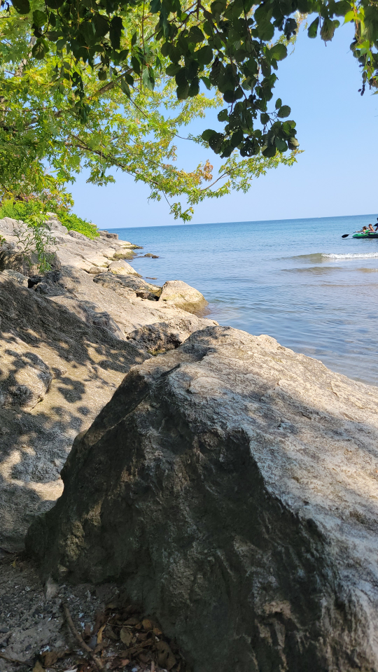 John Vitales profile