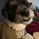 Maya profile