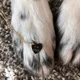 GG profile