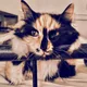 Hazels Mom profile