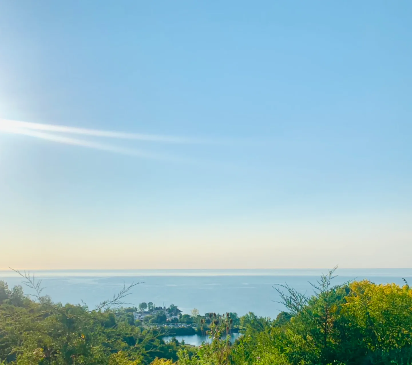 Krista Kotsopoulos profile