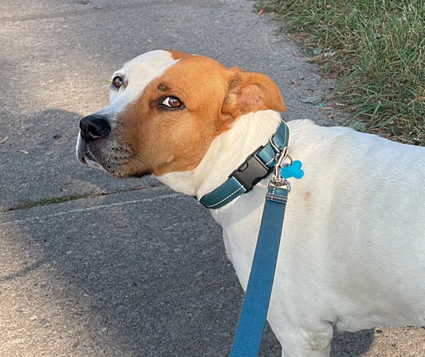 Hari B profile