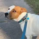 Hari B profile