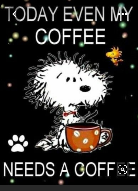 Son and Zoila profile