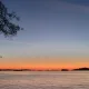 Emoya profile
