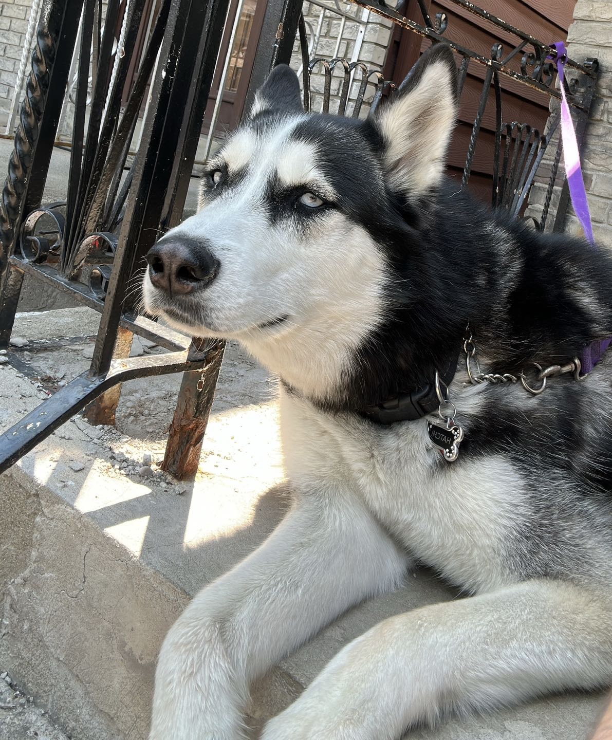 Eva profile