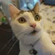 Kumi profile