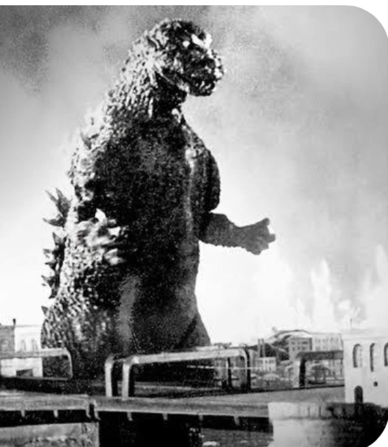 Godzilla1956 profile