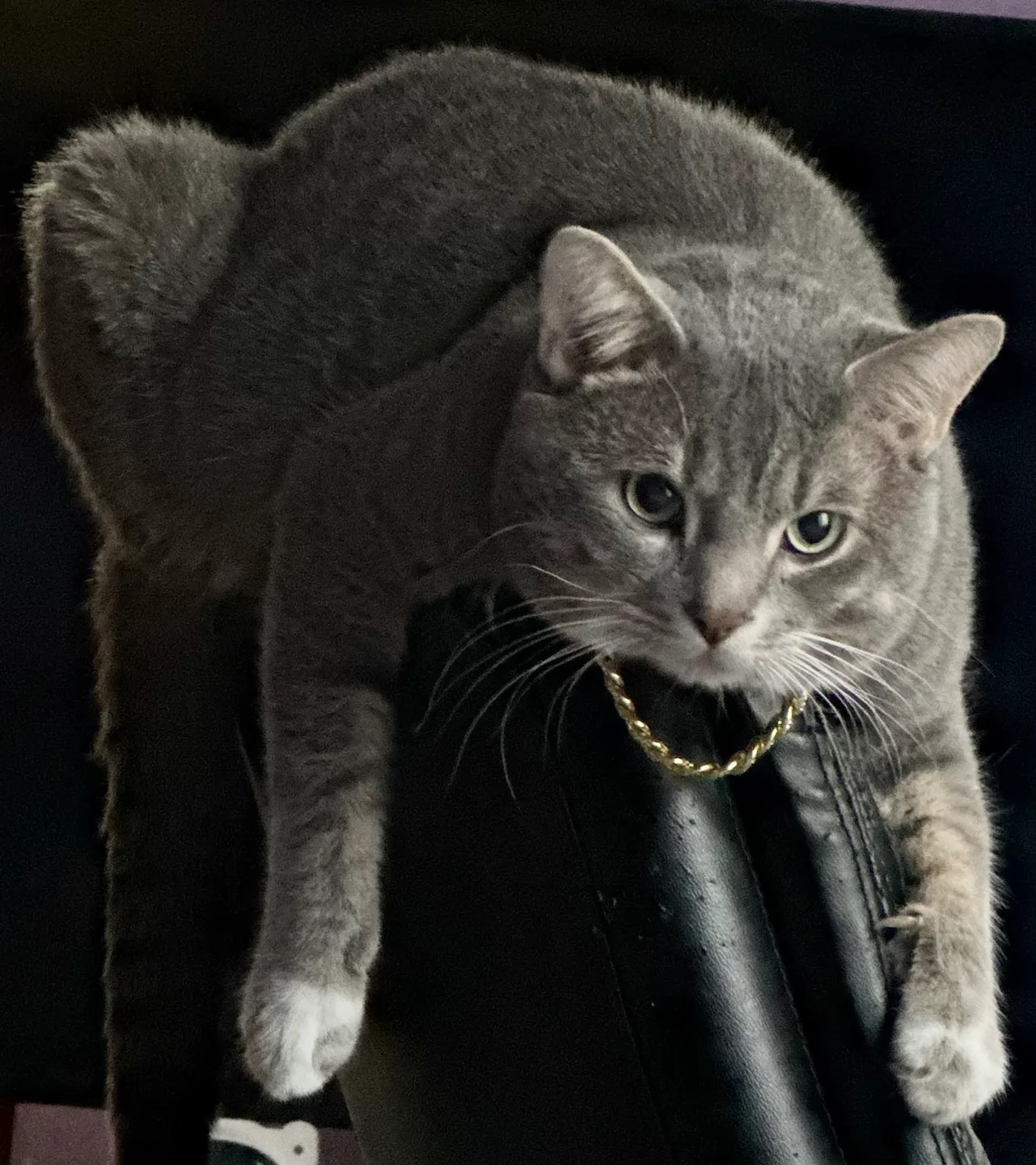 Ricosuave2023 profile