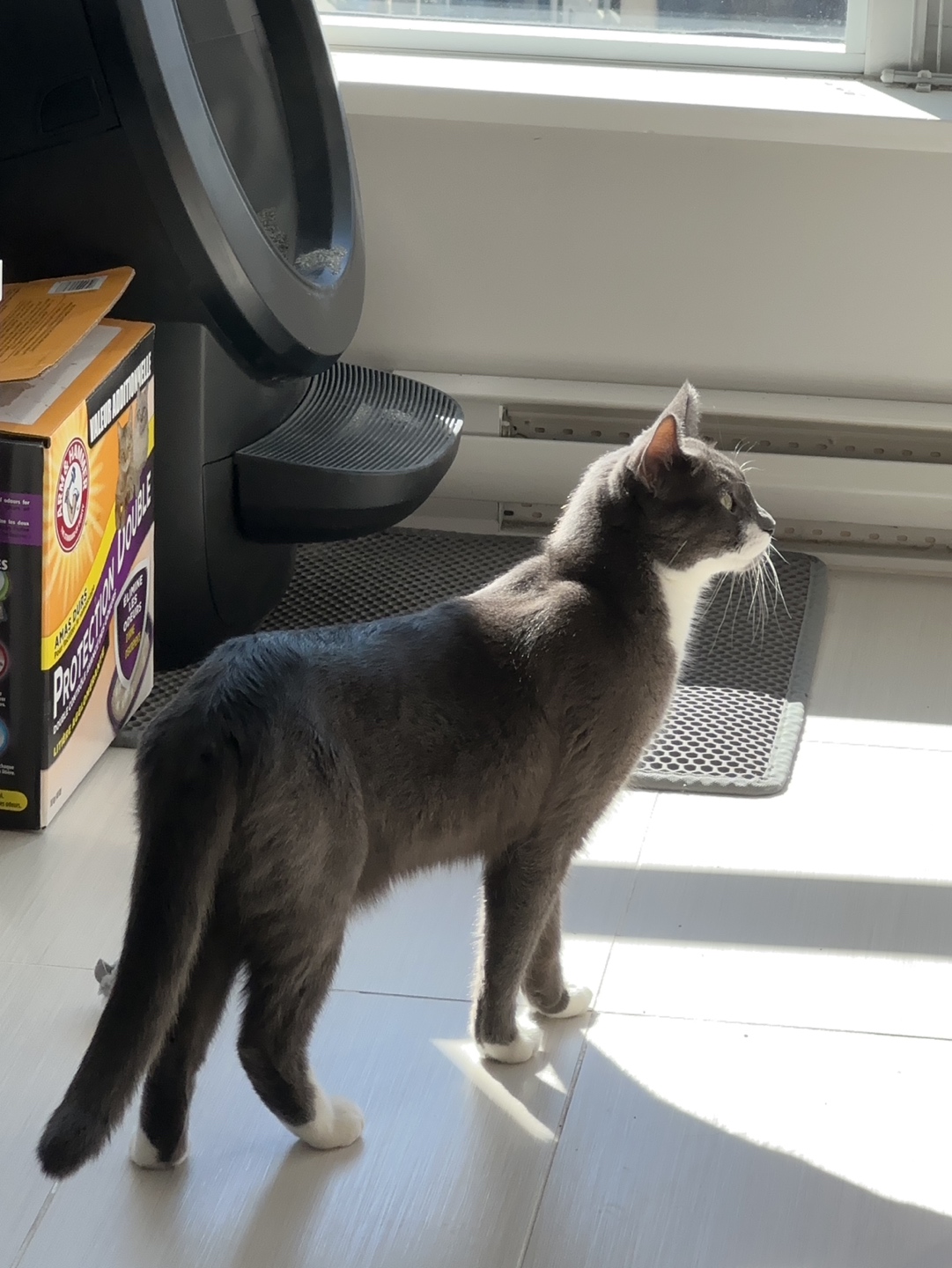 Lou profile