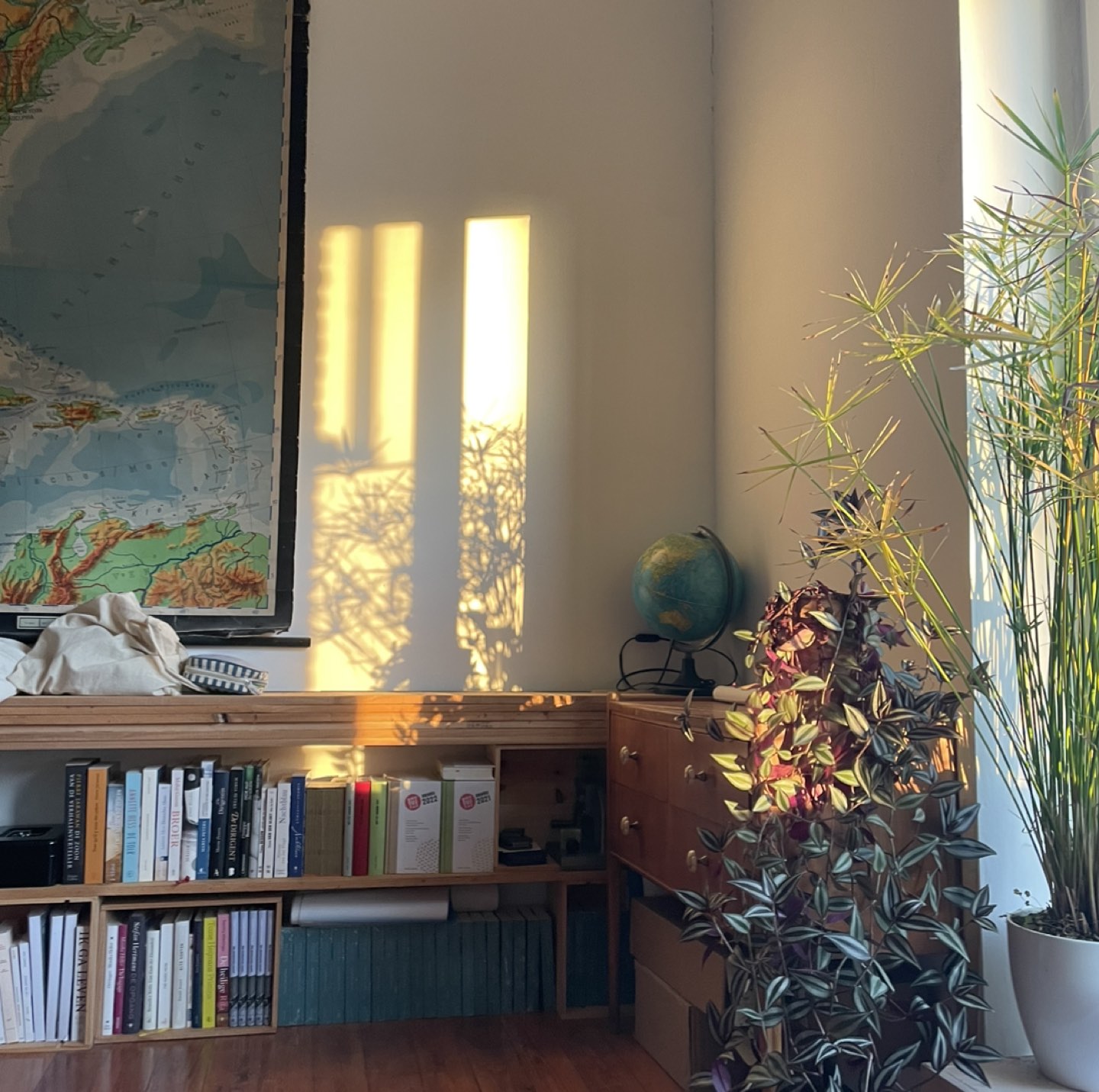Ania profile