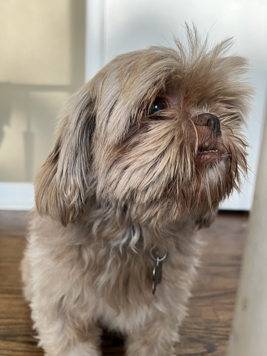 Rou profile