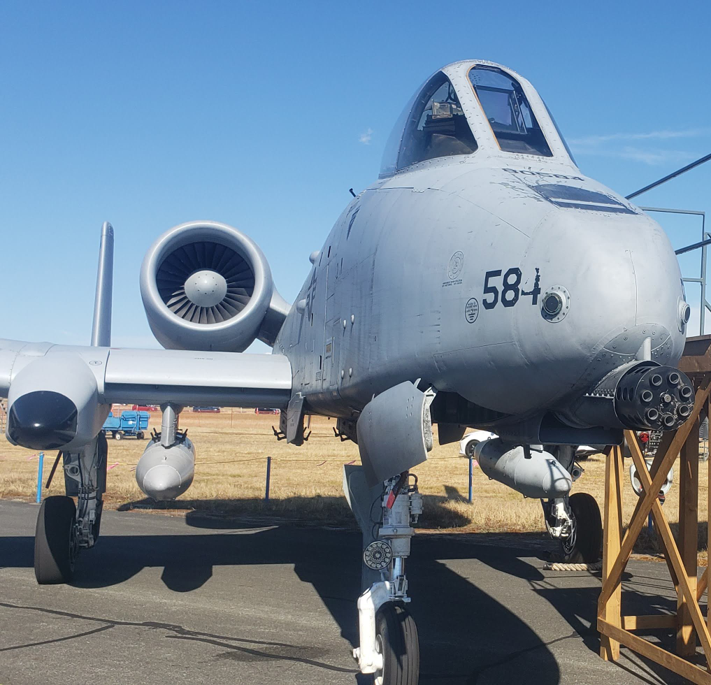 Shabab Ibn Hasib profile