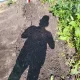matt profile