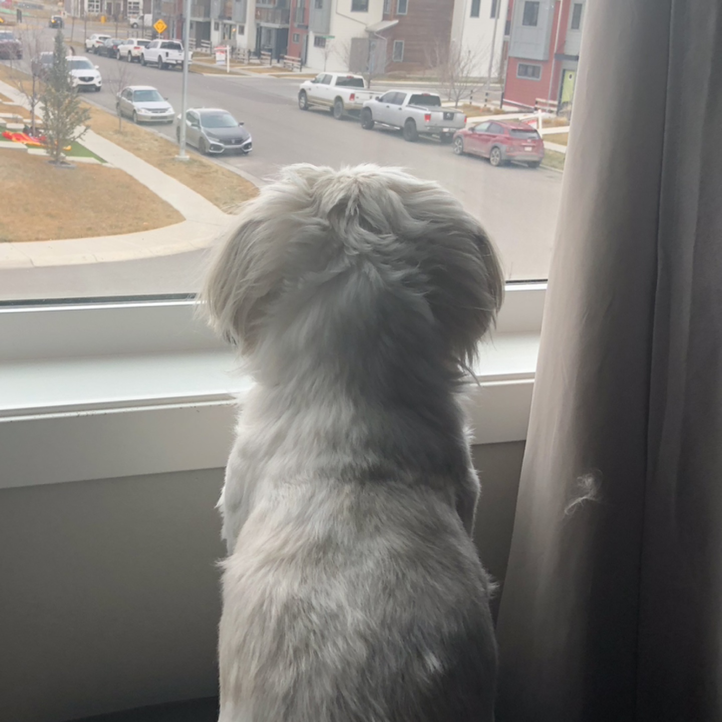 Mia profile